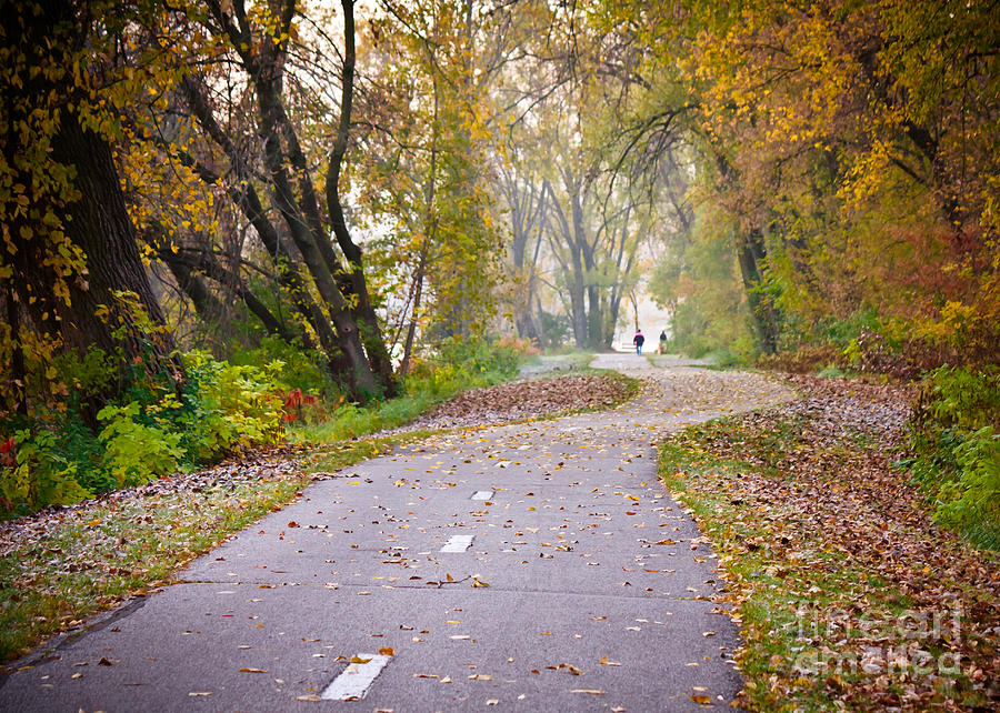Autumn Stroll Photograph by Kari Yearous
