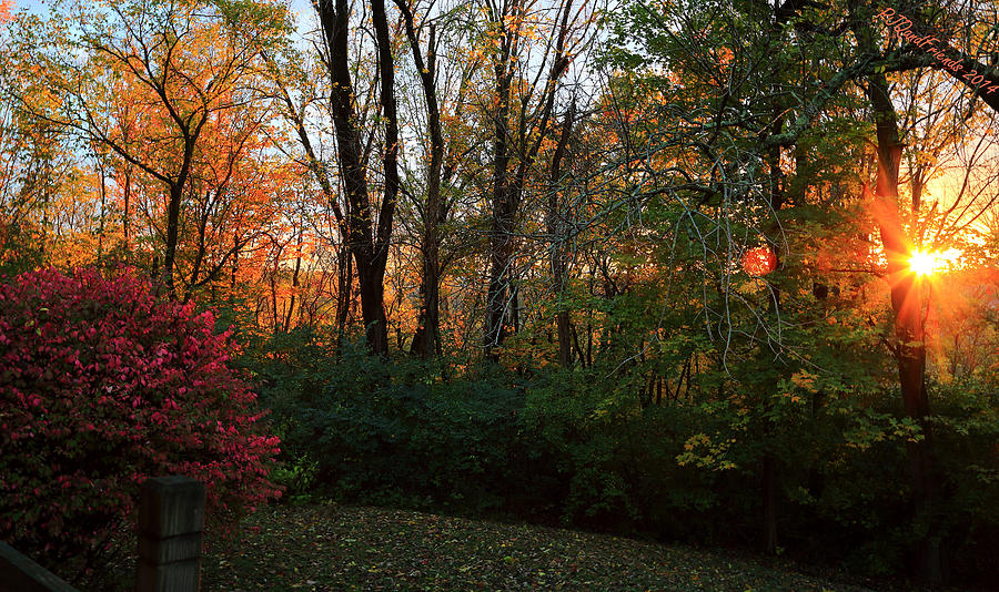 Autumn Sunburst Photograph by PJQandFriends Photography
