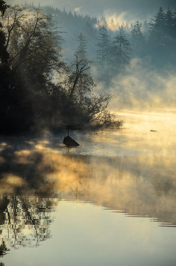 Autumn Sunrise Mist Fairy Lake  Photograph by Roxy Hurtubise