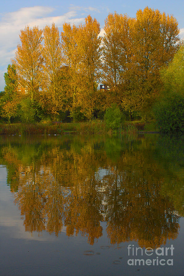 Autumn Sunset Tree Reflections Photograph by Jeremy Hayden