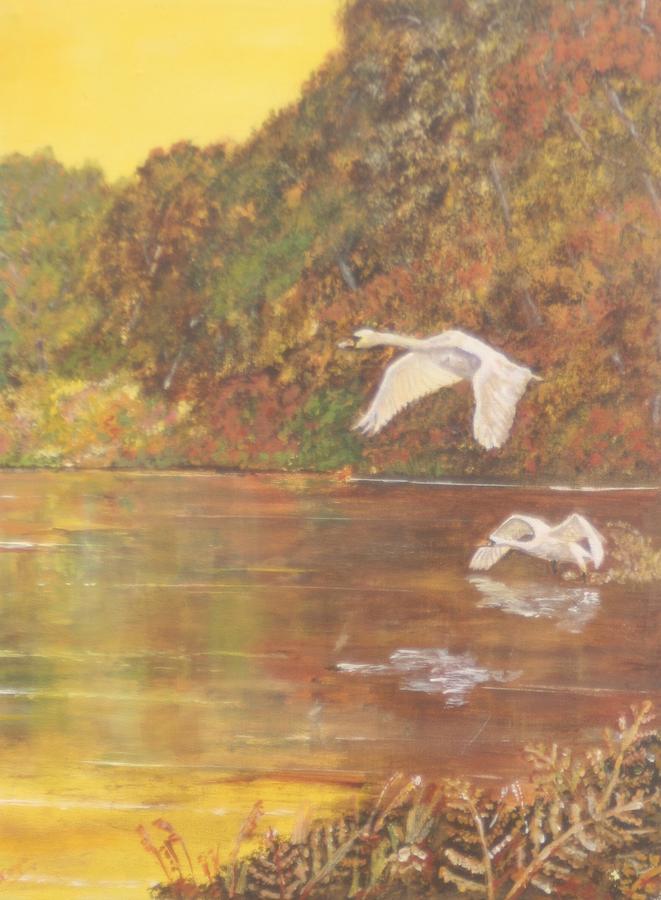 Autumn swans right Painting by David Capon
