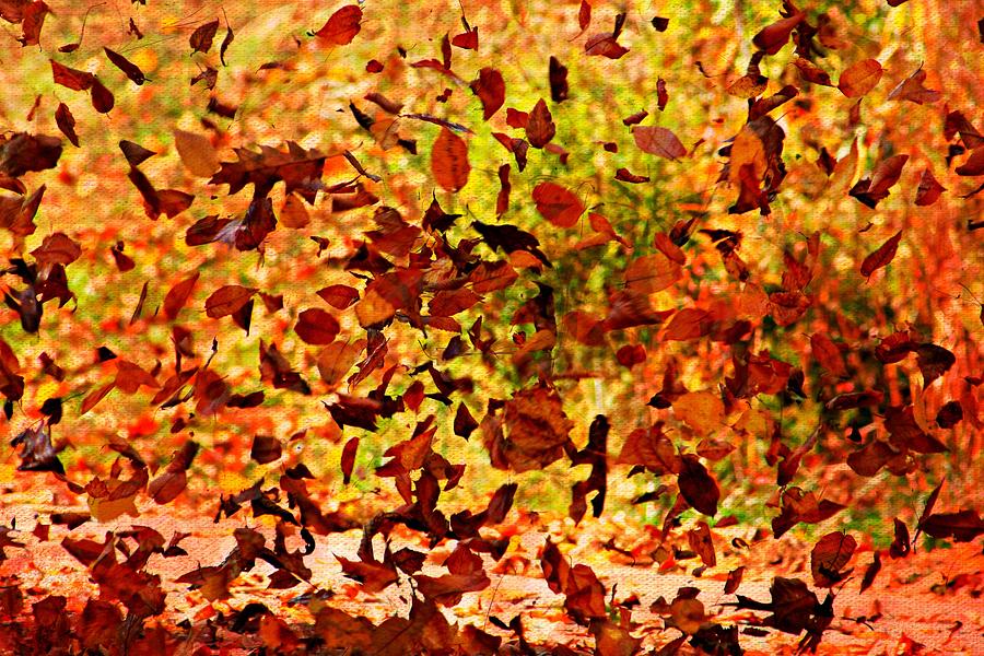 Autumn Tapestry Photograph by Barbara S Nickerson