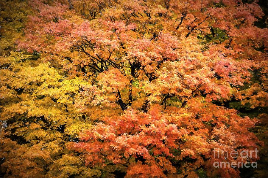 Autumn Tapestry Photograph by Henry Kowalski