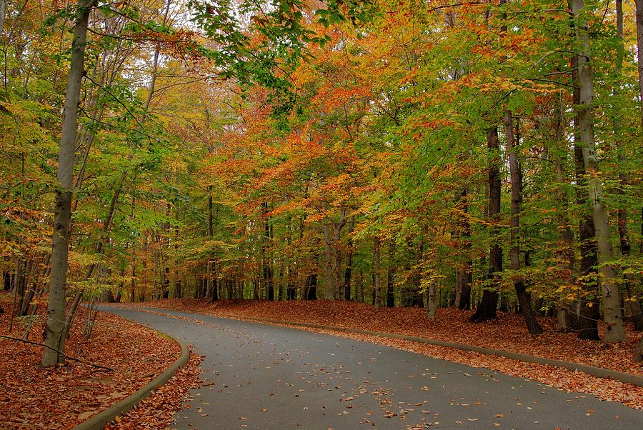 Autumn To The Left - Holmdel Park Photograph by Angie Tirado