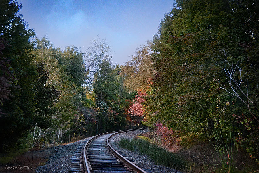Autumn Tracks In Pennsylvania Photograph by Lena Wilhite