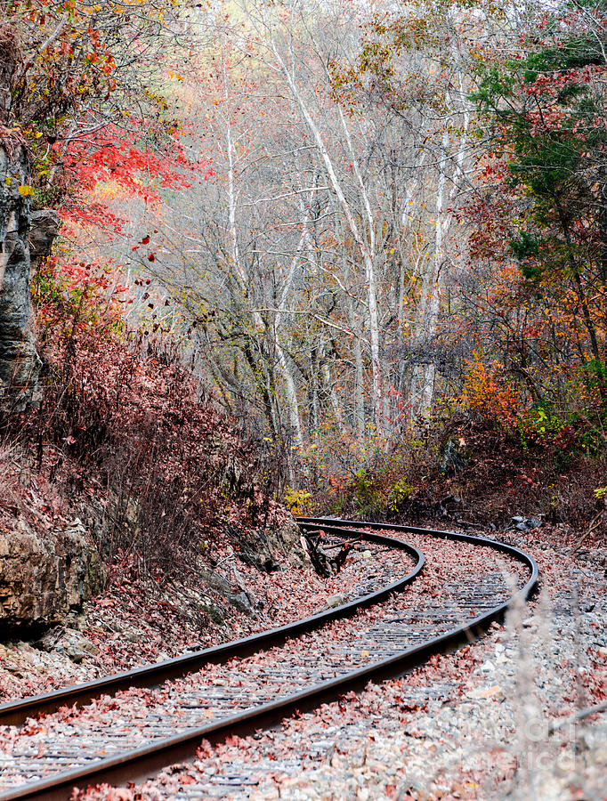 Fall Photograph - Autumn Tracks by Mary Carol Story