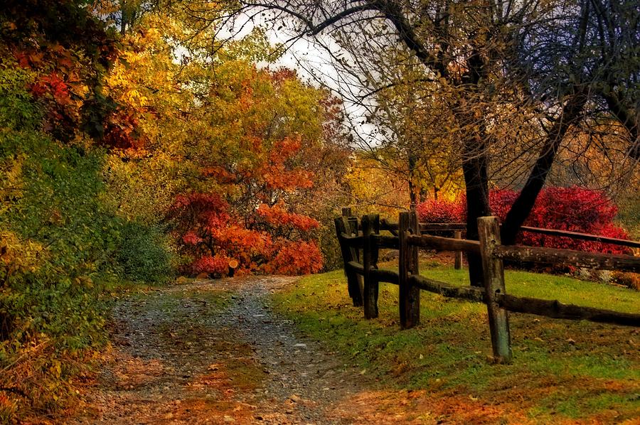 Autumn Trail Photograph by Cheryl Cencich | Fine Art America