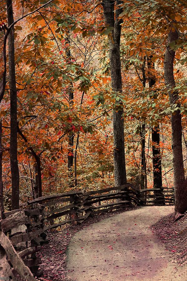 Autumn Trail Photograph by Deena Stoddard