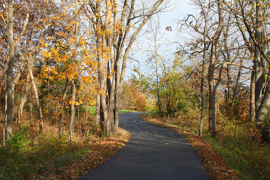 Autumn Trail Lake Remembrance Photograph by Ellen Tully
