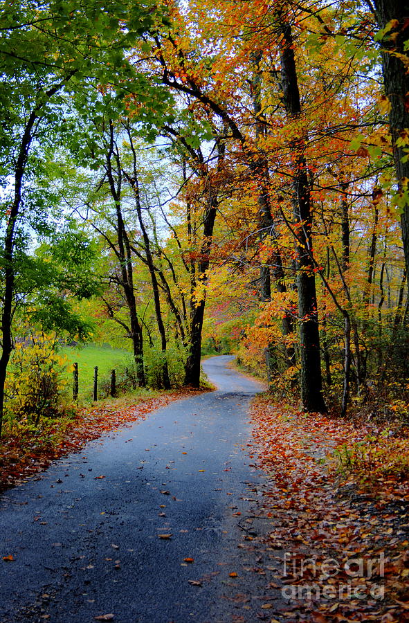 Tree Photograph - Autumn Trail by Marcel  J Goetz  Sr