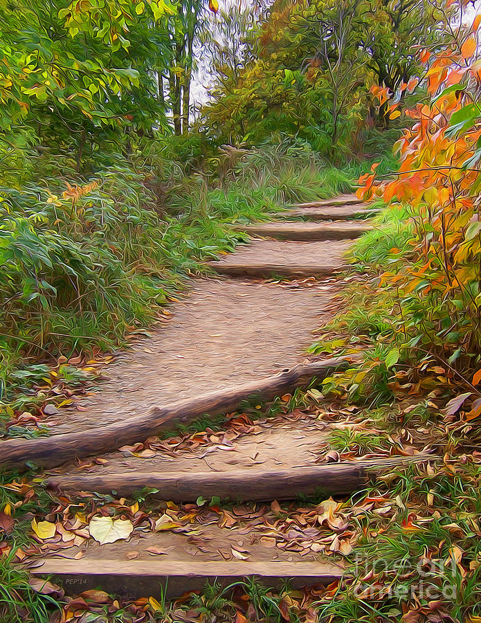 Autumn Trails Digital Art by Phil Perkins