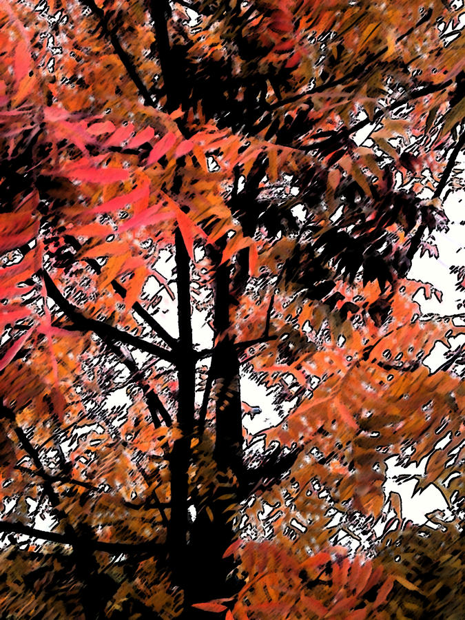 Autumn Tree 2 Digital Art by Eric Forster
