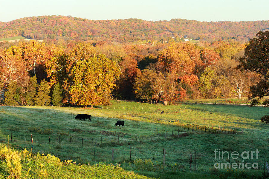 Farmland in Autumn Photograph by Adam Long