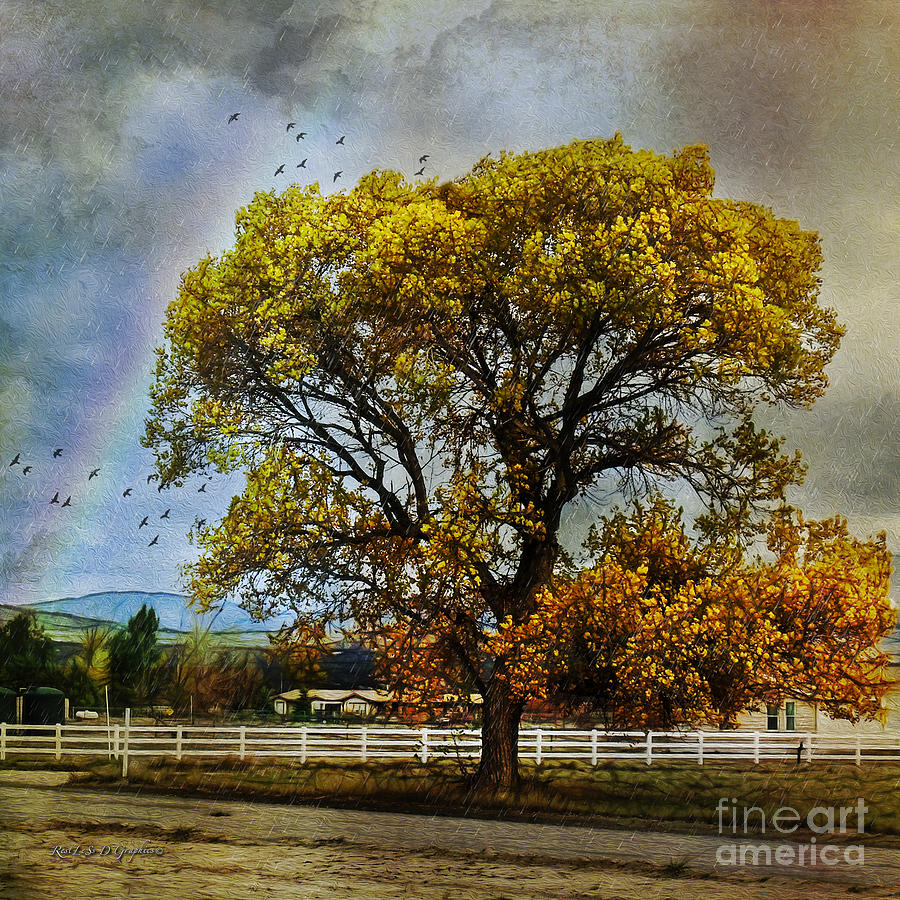 Autumn Tree in Anza Digital Art by Rhonda Strickland