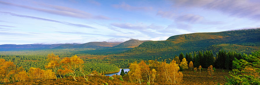 Nature Photograph - Autumn Trees At Loch An Eilein by Panoramic Images