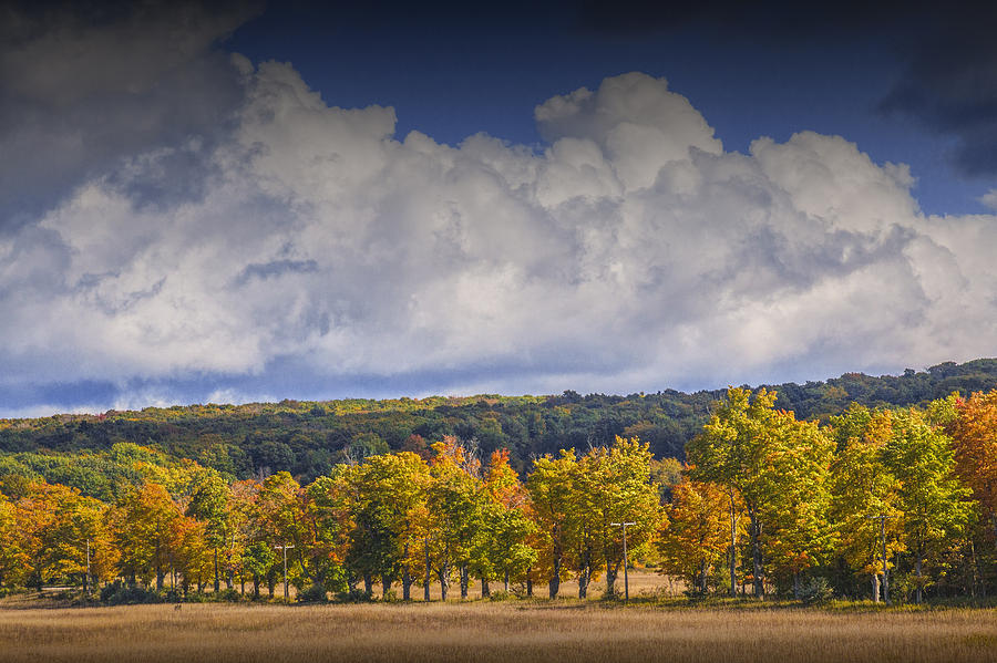 Fall Photograph - Autumn Trees in a Row by Randall Nyhof