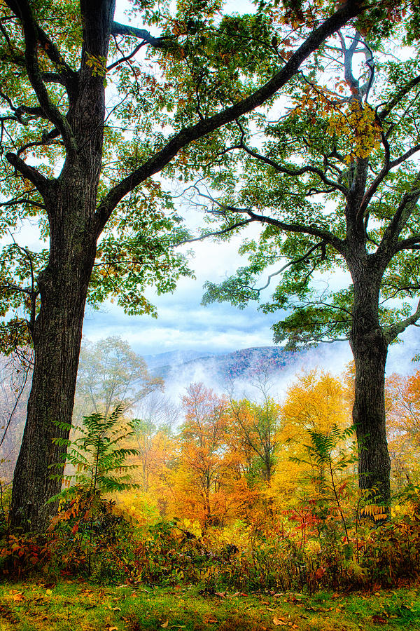 Autumn Trees in the Blue Ridge II Painting by Dan Carmichael
