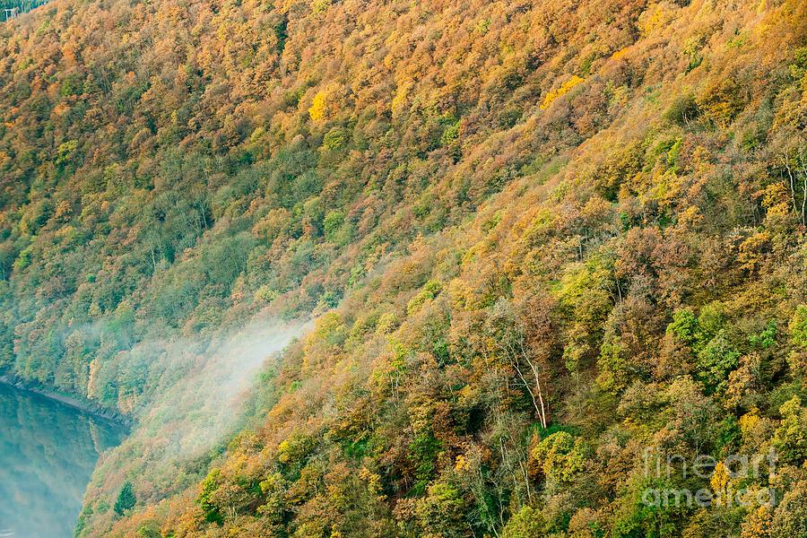 Autumn Trees Photograph by Maciej Markiewicz