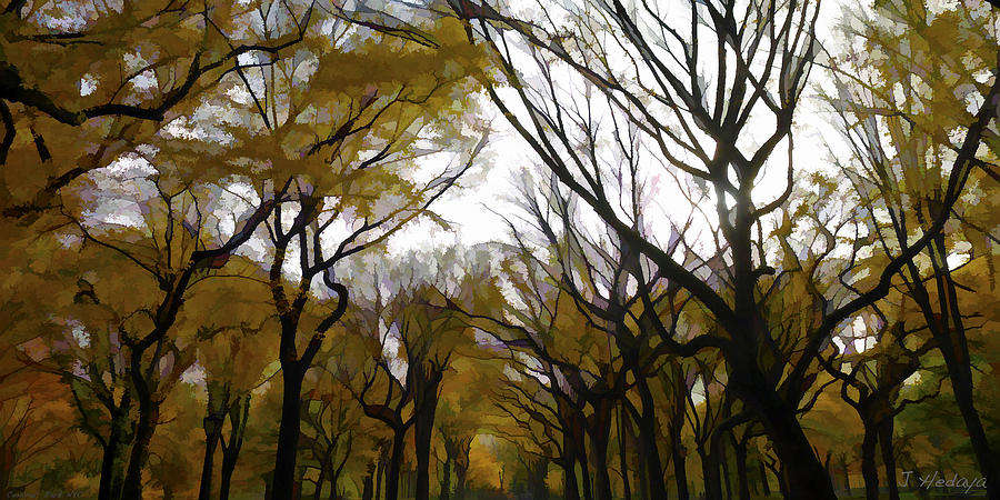 Autumn Trees Panoramic Photograph by Joseph Hedaya