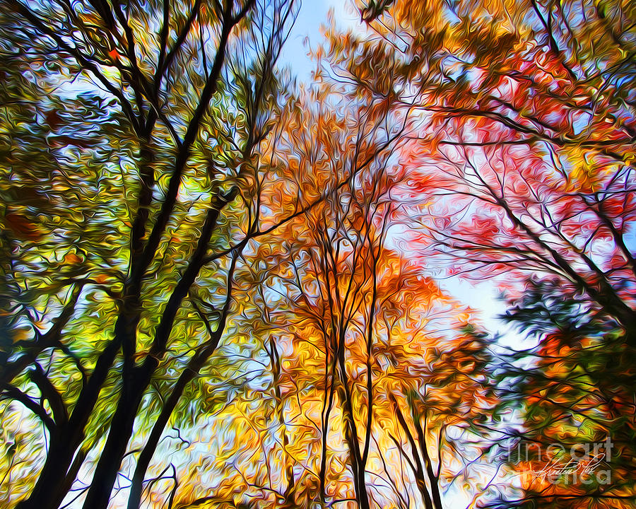 Autumn Trees Photo Manipulation Photograph by Kristen Fox