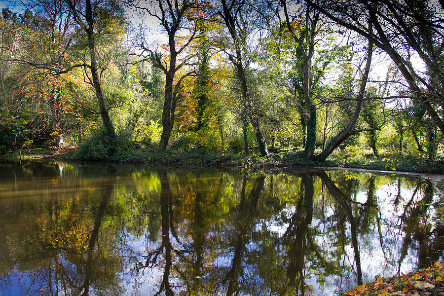 Fall Photograph - Autumn Trees reflected in a lake by Chris Clark
