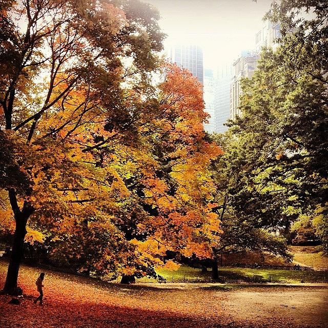 Fall Photograph - Autumn Trees With An Autumn Breeze by U p t o w n S u e