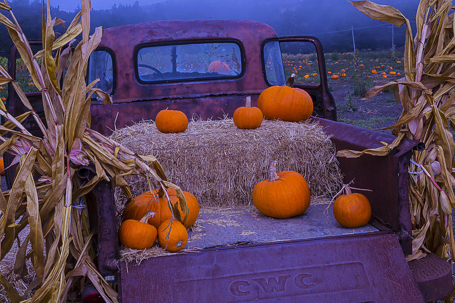 Truck Photograph - Autumn Truck by Garry Gay