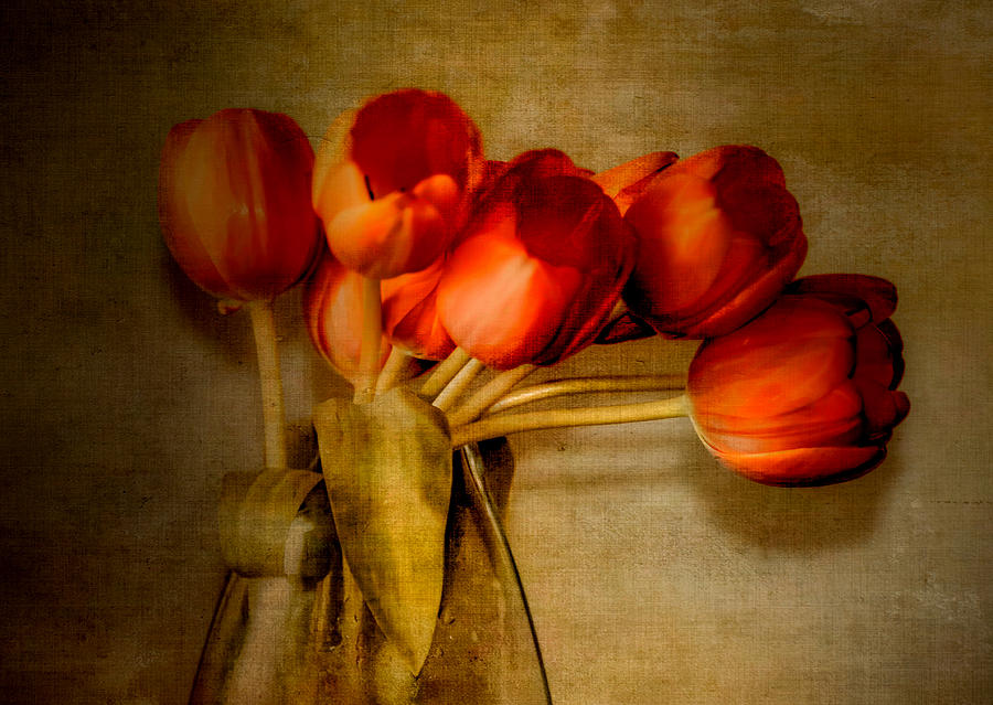 Autumn Tulips Photograph by Julie Palencia