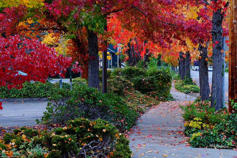 Autumn Walk in Grants Pass Photograph by Mick Anderson