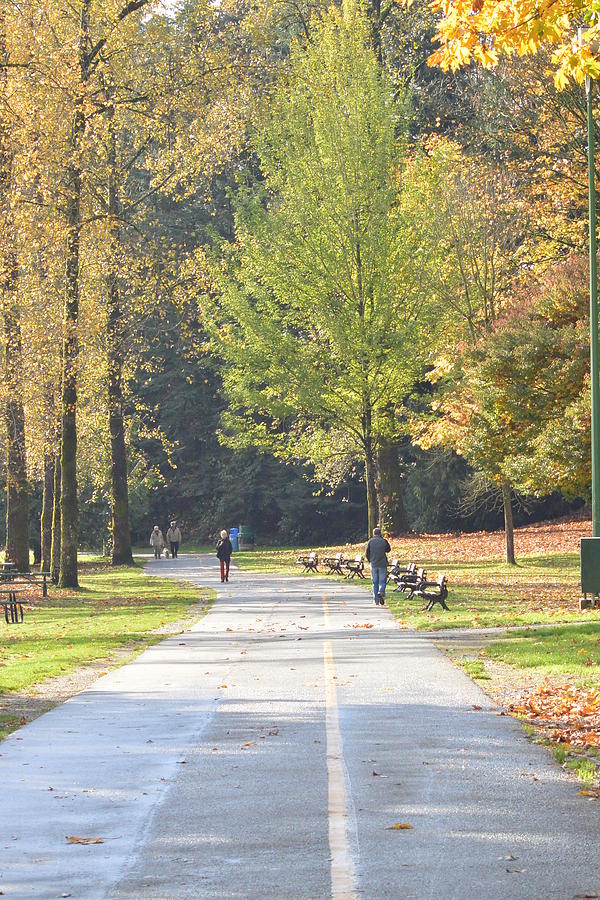 Tree Photograph - Autumn Walk in the Park by Nicki Bennett