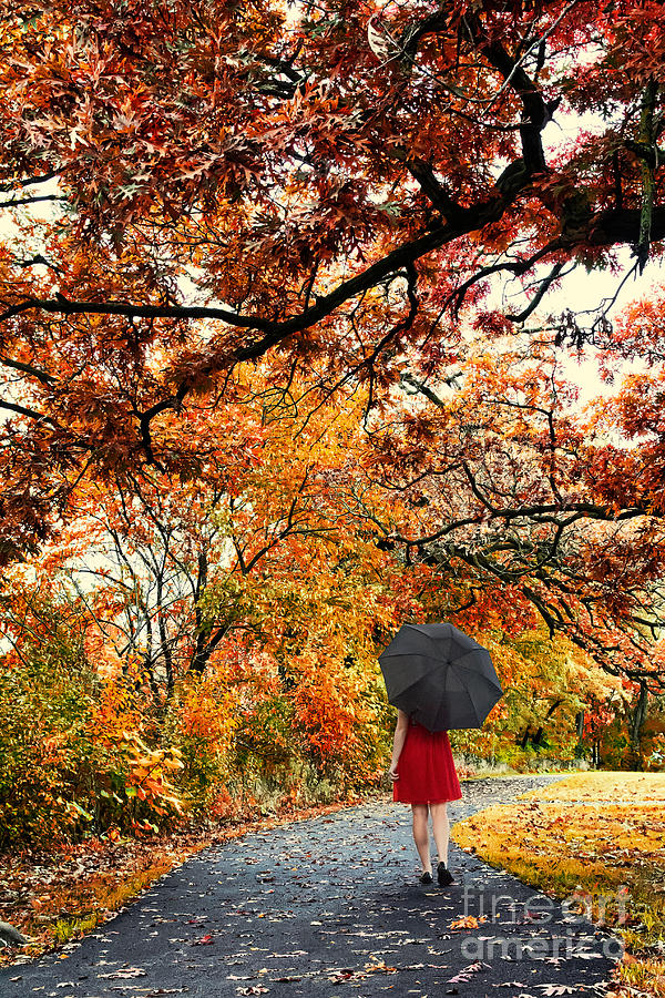 Fall Photograph - Autumn Walk by Kent Taylor