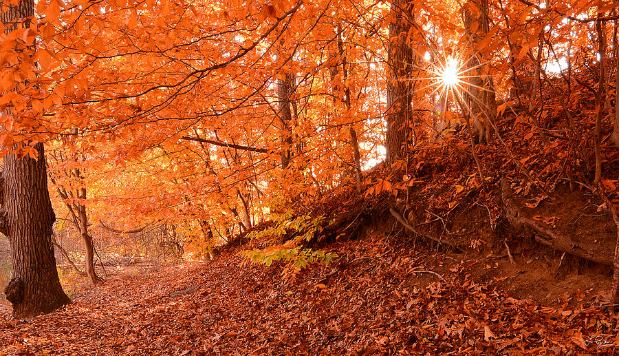 Fall Photograph - Autumn Walk by Lourry Legarde
