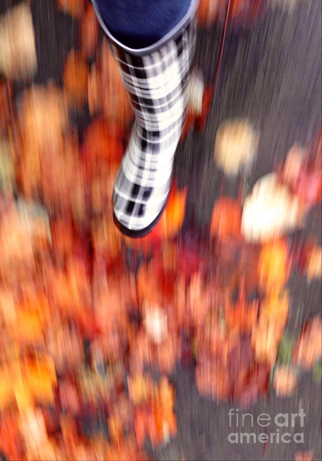 Autumn Walk Motion Photograph by Susan Garren