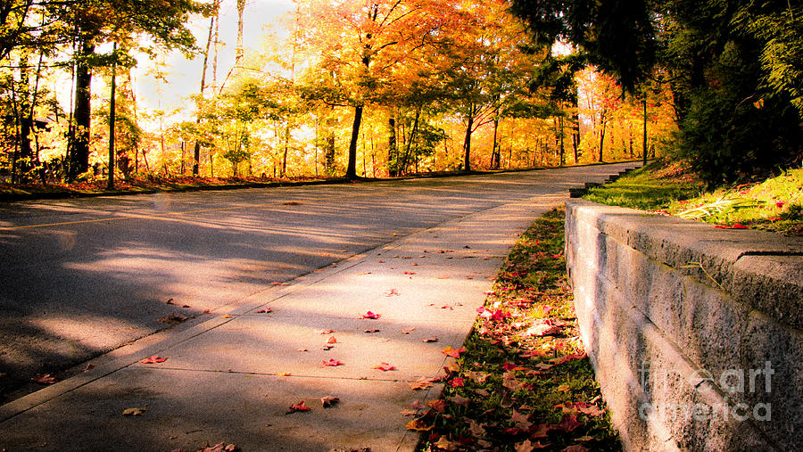 Fall Photograph - Autumn Walk by Nancy Chilcott