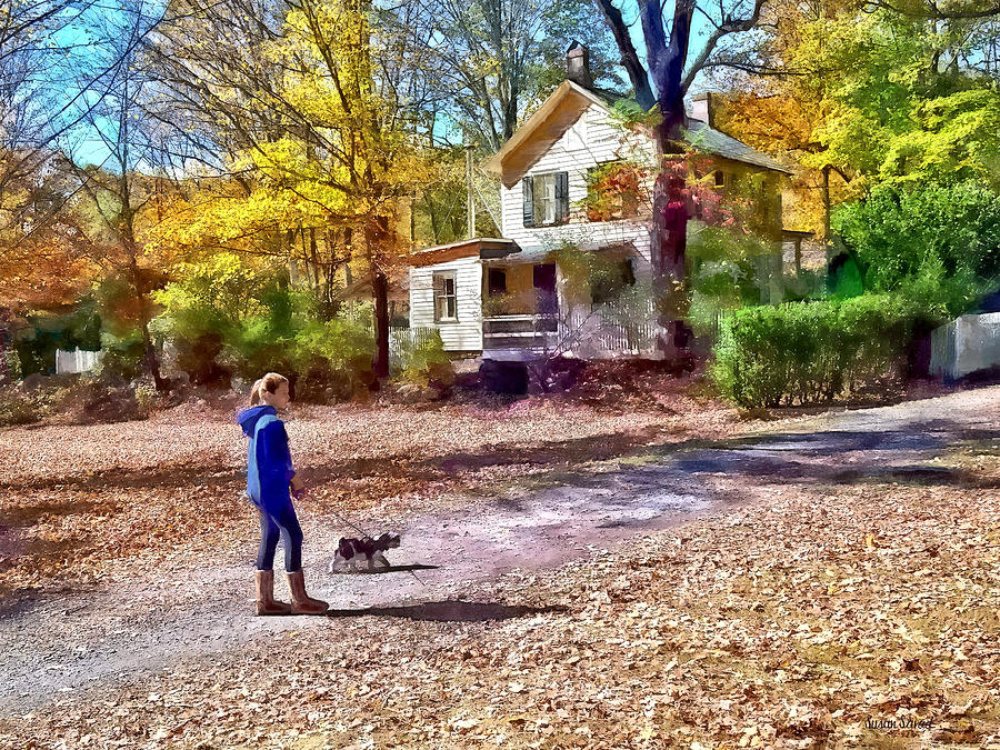 Autumn - Walking the Dog Photograph by Susan Savad