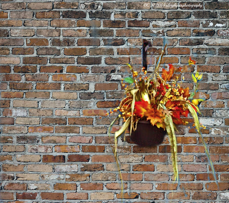 Autumn Wall Hanging Photograph by Catherine Melvin