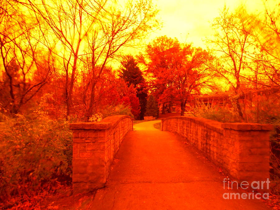 Autumn Warmth And The Stone Bridge Photograph by Paddy Shaffer
