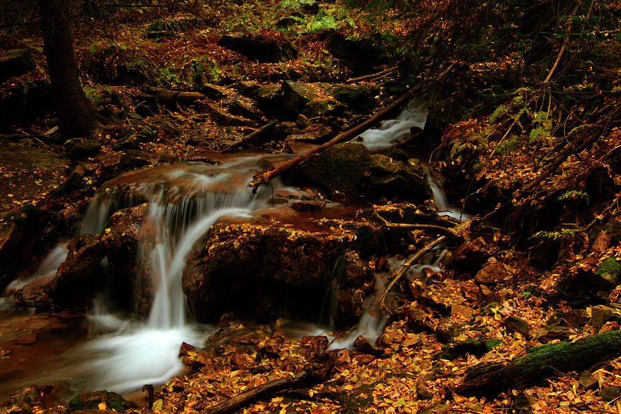 Landscape Photograph - Autumn Washed Away by Jeremy Rhoades