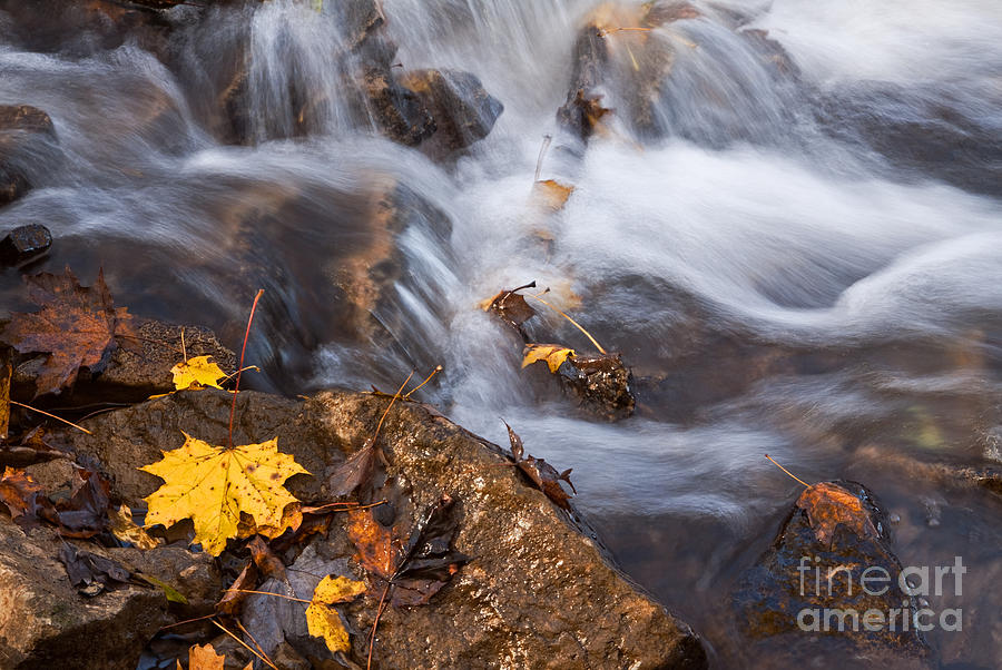 Nature Photograph - Autumn Water by Charline Xia