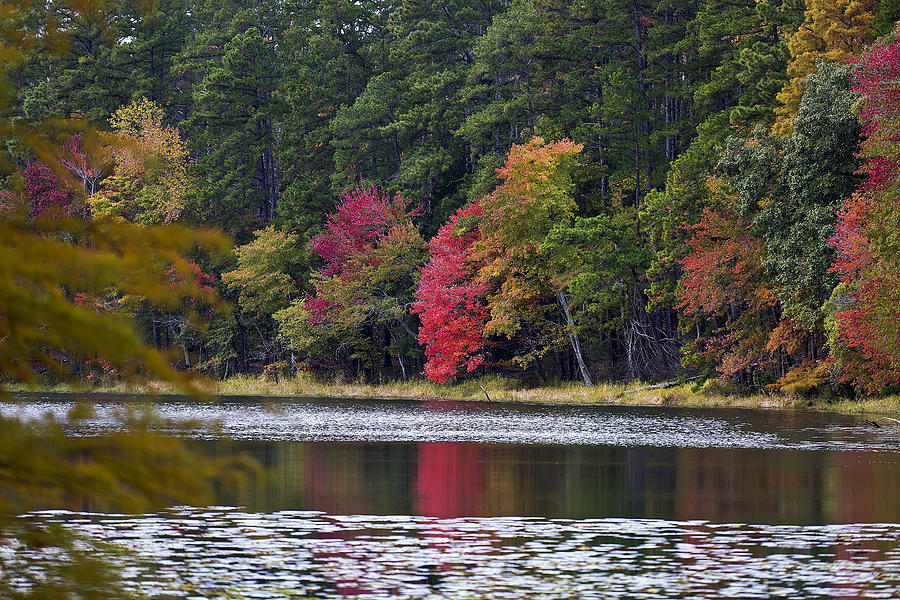 Autumn Water Photograph by Mark McKinney