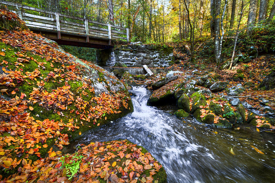 Autumn Waterfall Photograph by Debra and Dave Vanderlaan - Fine Art America