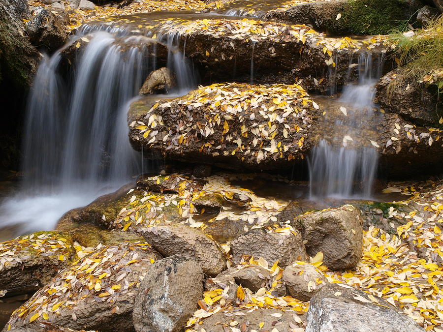 Autumn Waterfall Photograph by Jenessa Rahn