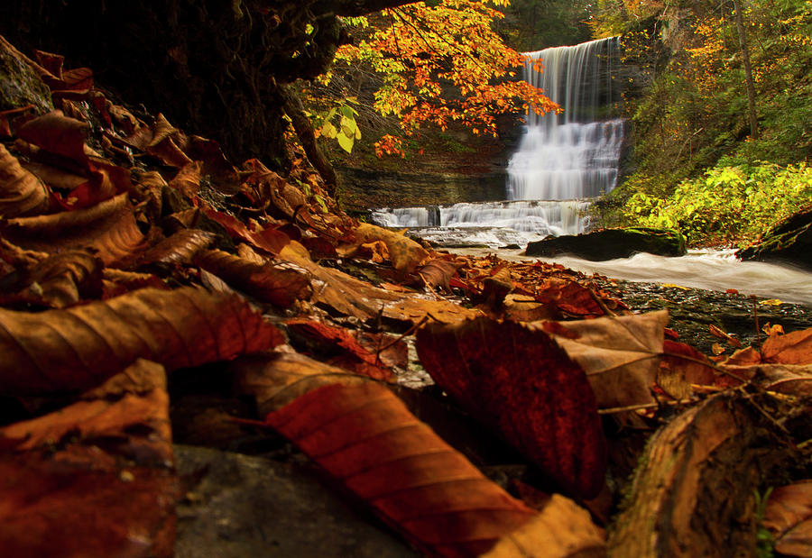 Autumn Waterfall Photograph by Matt Champlin