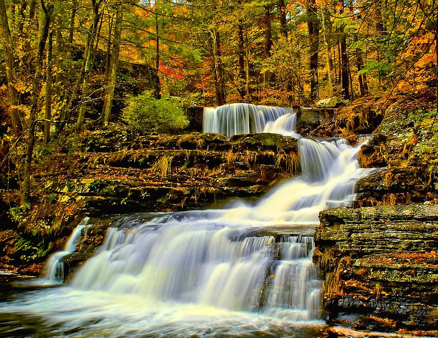 Autumn by the Waterfall Photograph by Nick Zelinsky Jr