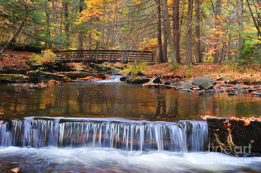 Fall Photograph - Autumn Waterfalls by Paul Ward