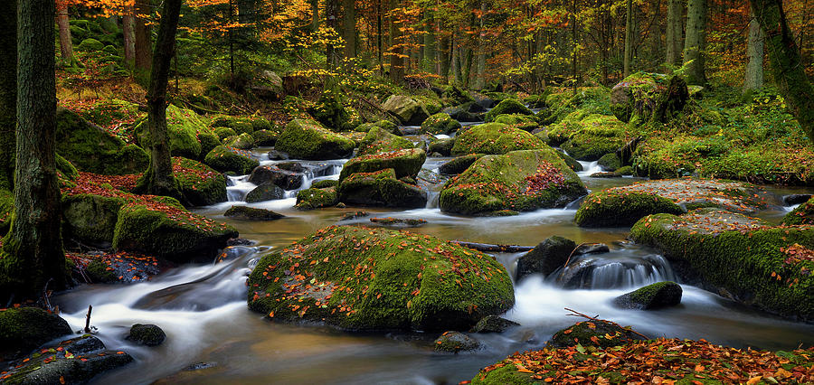 Autumn Waters Photograph by Norbert Maier