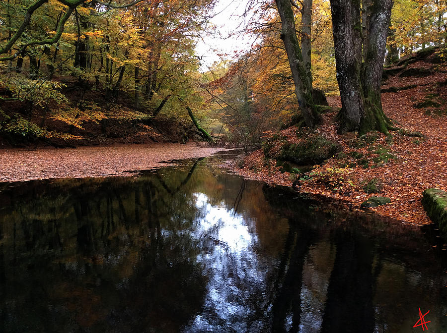 Nature Photograph - Autumn Weather Denmark by Colette V Hera Guggenheim