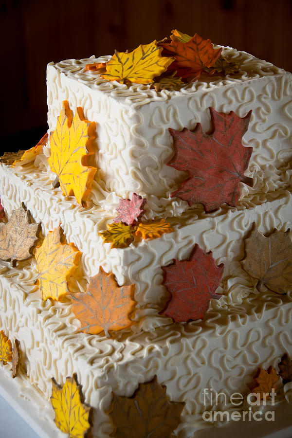 Autumn Wedding Cake Photograph by Cheryl Baxter