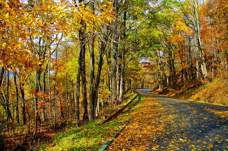 Fall Photograph - Autumn Winding Road by Kevin Cable