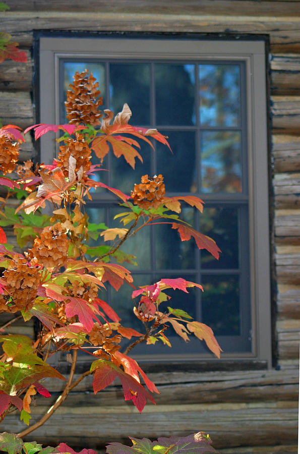Autumn Window Photograph by Living Color Photography Lorraine Lynch